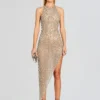 Audacia Embellished Dress
