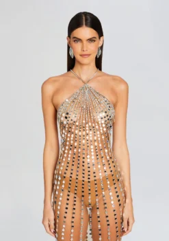 Maris Embellished Dress -Cheap Dress Store Ecommerce Crop 24 01 10 MARISDRESS TANNIN 0274 ECOMM scaled